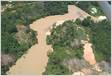 Explosão do garimpo ilegal na Amazônia despeja 100 toneladas
